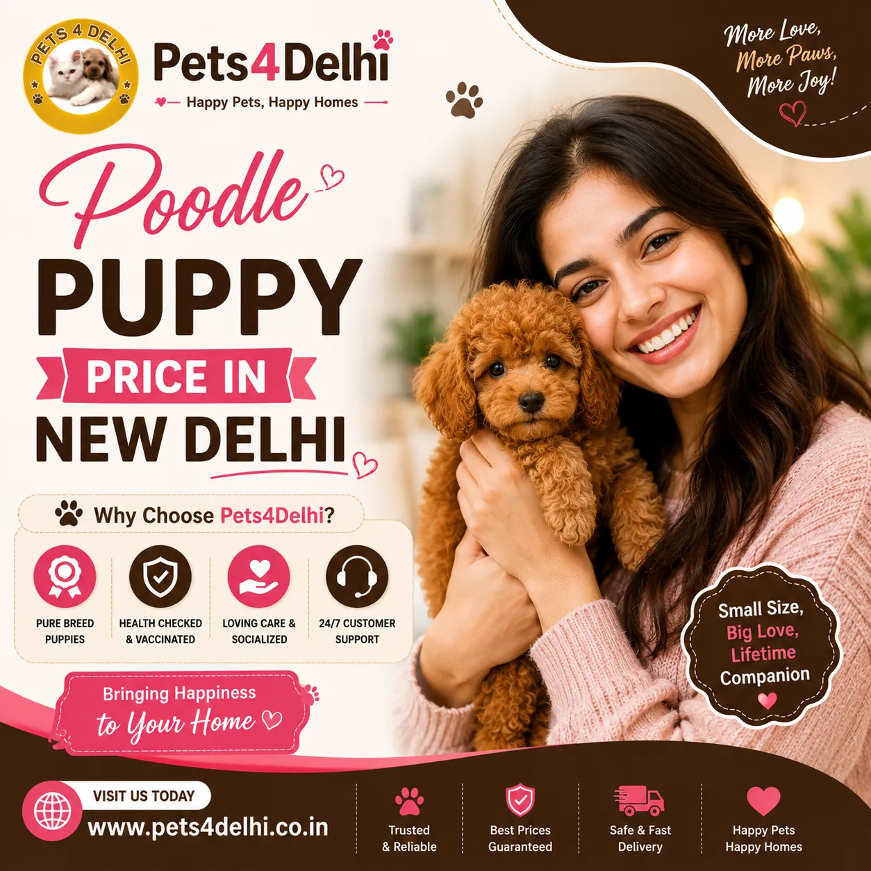 Top Poodle Puppy Price in New Delhi