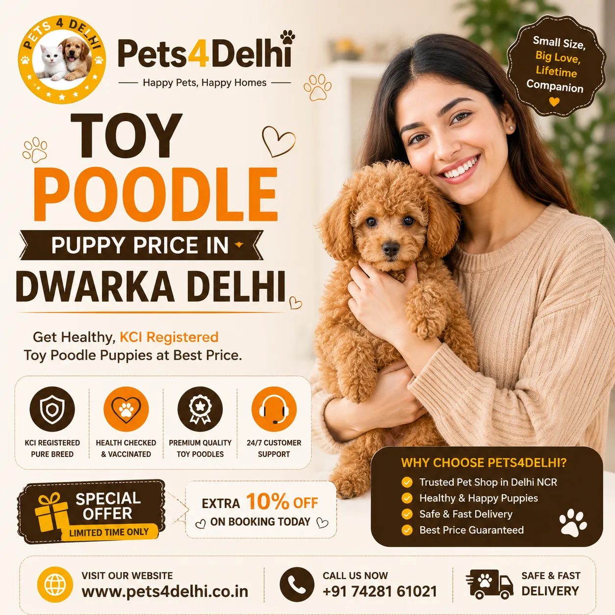 Toy Poodle Puppy Price in Dwarka Delhi