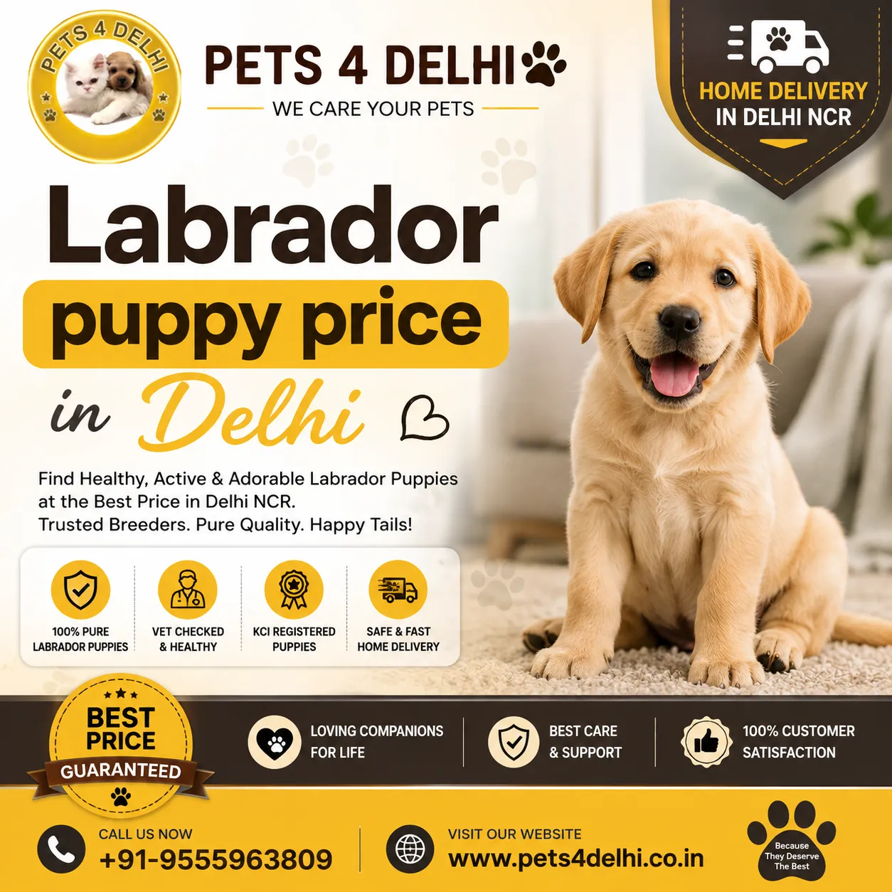 Labrador Puppy Price in Delhi NCR