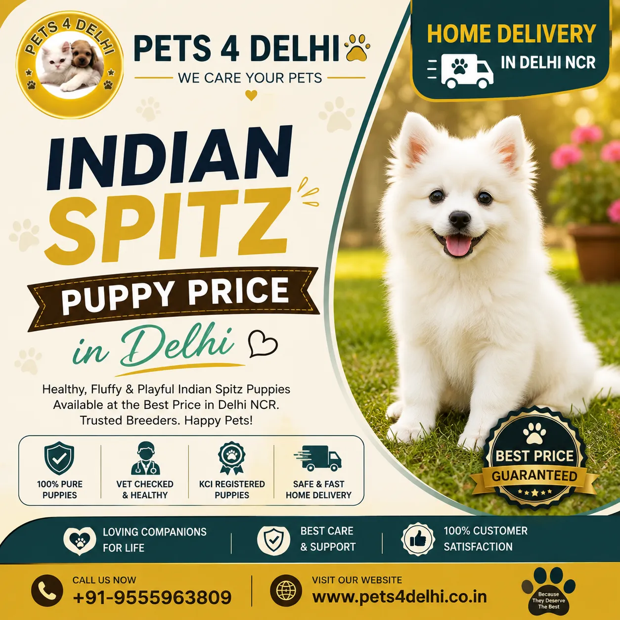 Indian Spitz Puppy Price in Delhi