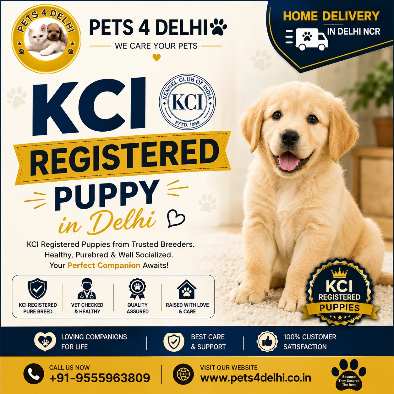 KCI Registered Puppy in Delhi