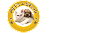 Pets 4 Delhi